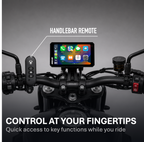 RIDEN HANDLEBAR REMOTE